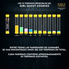 GIRL SCOUT COOCKIES... 2